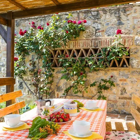 Poggio All'aia By Interhome Lucciana